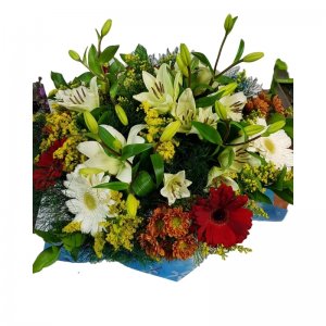 זר כפרי שמח