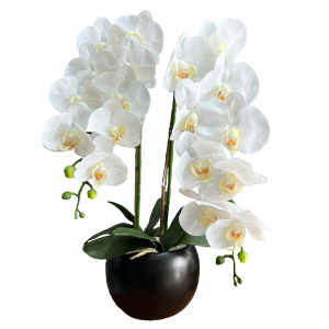 עציץ סחלב סינטטי