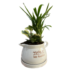 קוקטייל קומקום לבן