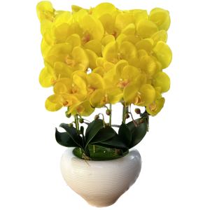 סחלב סינטטי צהוב