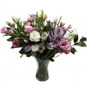 זר ליזיאנטוס באגרטל