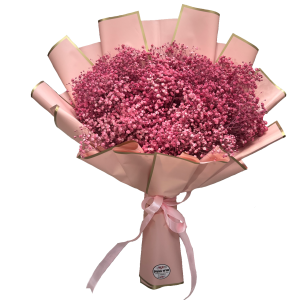 זר גיבסנית ורודה