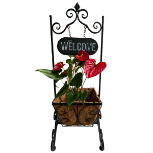 מתקן WELCOME ועציץ אנטוריום