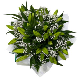 זר שושן צחור