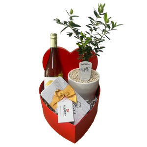 מארז עץ זית יין ושוקולד