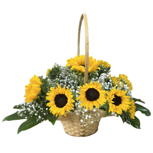 סידור חמניות סלסלה